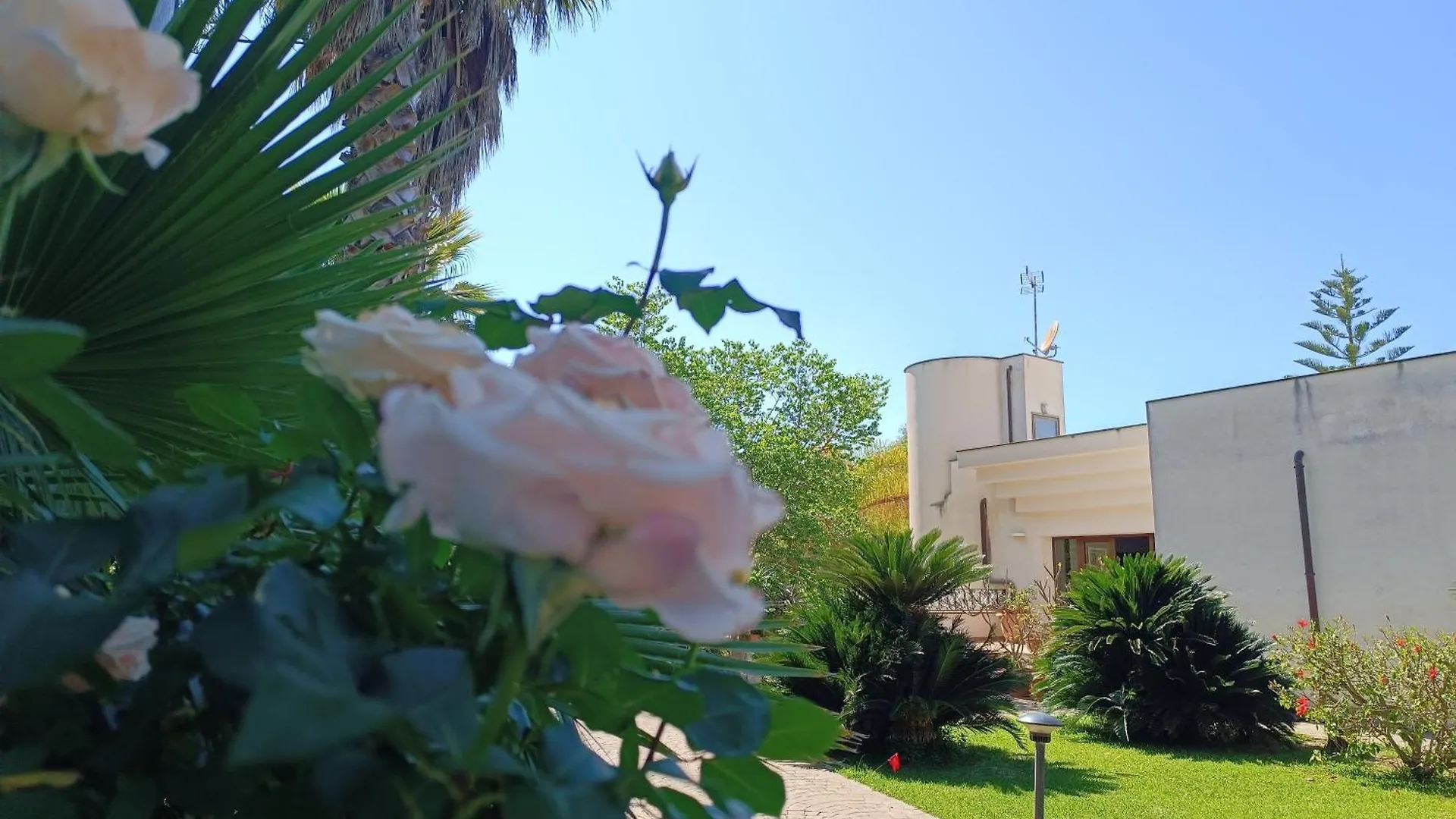 B & B Villa Flora Mondello
