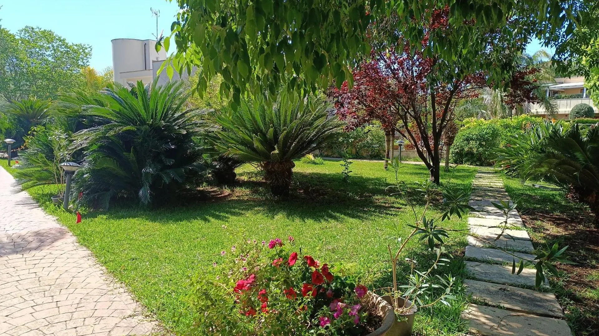 B & B Villa Flora Mondello Italia