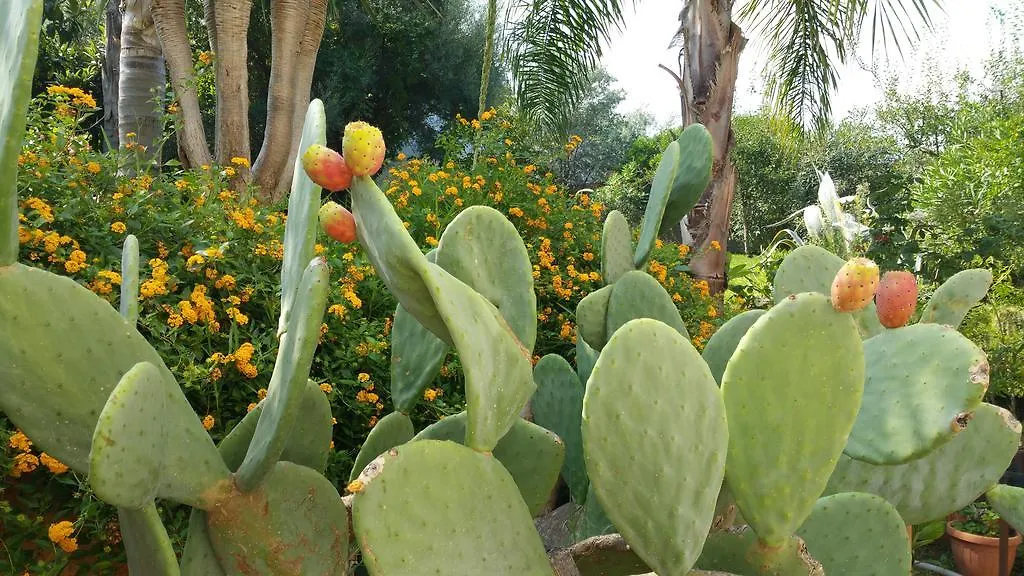B & B Villa Flora Mondello