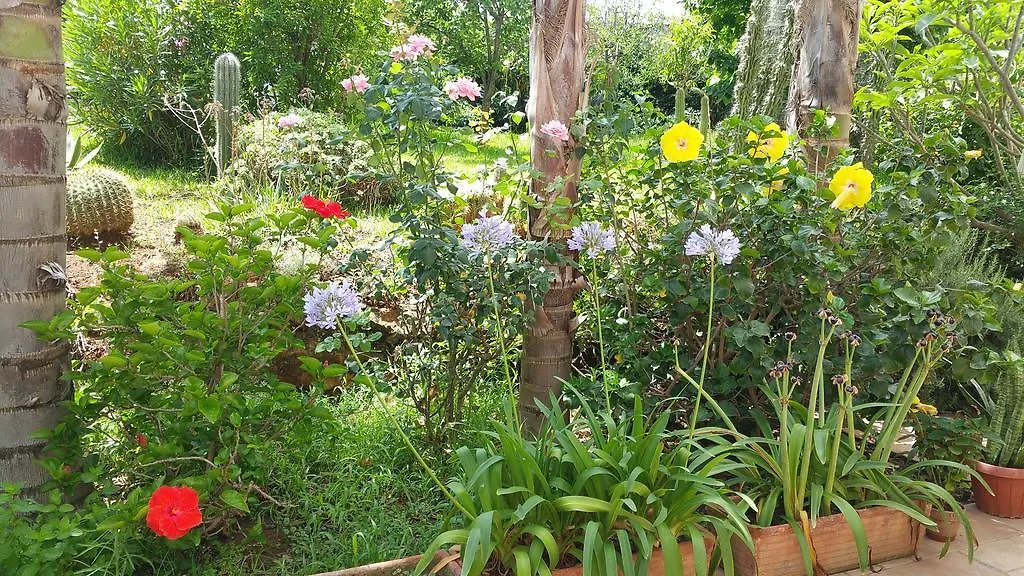 B & B Villa Flora Монделло Италия